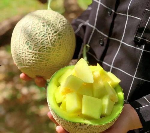 数码圈有大瓜吃瓜群众,揭秘科技圈背后的惊人内幕