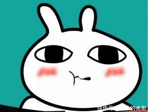 最惨代价吃瓜群众,吃瓜群众的悲欢离合