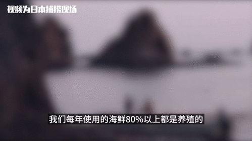 别人吃瓜不告诉我,为何好友吃瓜不告诉我