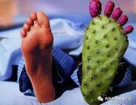 痛风可以吃付子瓜吗,付子瓜的适宜食用指南