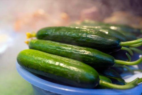 二瓜二吃,探索美食新境界