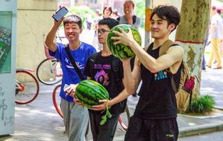 昆明高校吃瓜事件,揭秘校园网络舆论风波