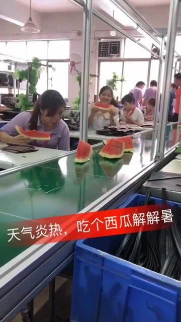 工厂吃瓜的视频,一起见证吃瓜欢乐时光