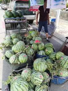 邳州新港吃瓜事件,一场引发热议的网络风波揭秘