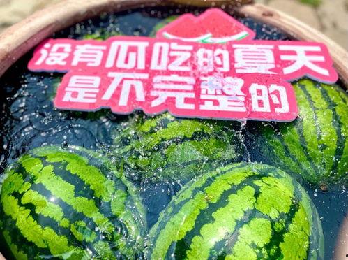 大型吃瓜聚集,揭秘娱乐圈幕后风云