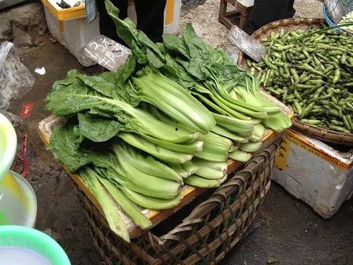 校园集市吃瓜,热闹非凡的吃瓜盛宴