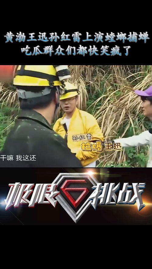 极限挑战吃瓜图片,吃瓜群众视角下的欢乐瞬间