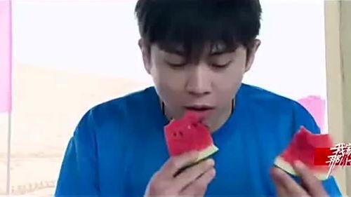 武艺吃自己瓜,一场关于瓜的奇妙冒险