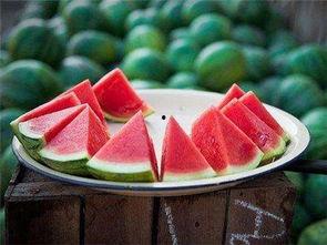 种点自己吃的瓜,共享田园乐趣的甜蜜瓜果生活