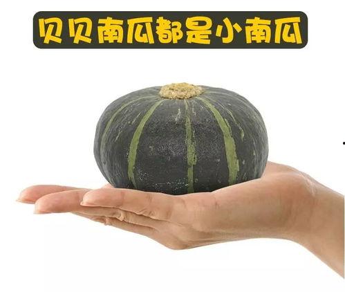 吃贝贝瓜的季节,清凉甜蜜的夏日美味