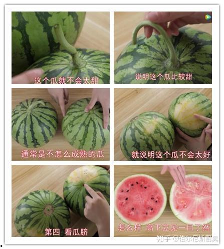 吃瓜的来看看,吃瓜群众视角下的娱乐圈风云录