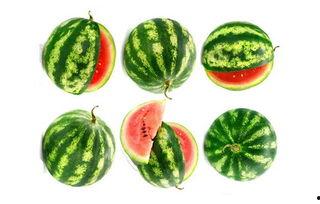 景大人吃瓜视频,一场别开生面的“吃瓜”盛宴