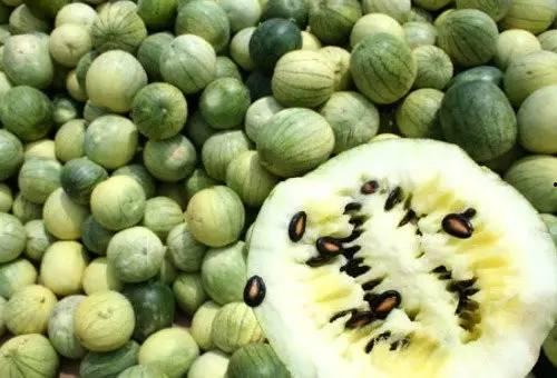 吃瓜为啥要吃有籽瓜,探寻吃瓜为何偏爱有籽瓜的奥秘