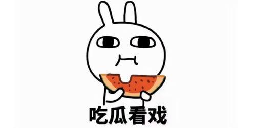 吃瓜点评热门文案,盘点热门文案背后的故事与真相