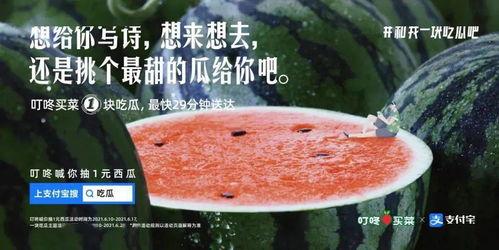 吃瓜文案开头,吃瓜群众眼中的明星幕后故事