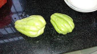 兔儿吃瓜,趣味横生的田园生活趣事