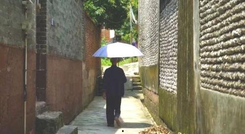 柘城吃瓜群众事件,网络舆论下的社会现象解析