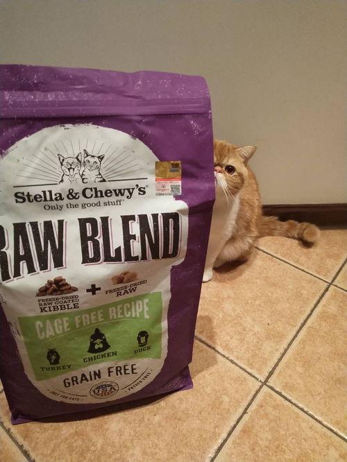 sc猫粮吃瓜,吃瓜群众眼中的品质与口碑