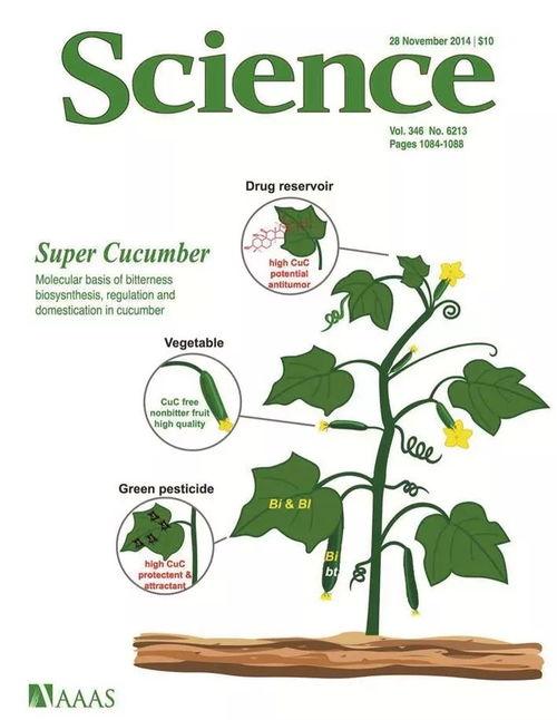 吃瓜兴奋图片,吃瓜群众兴奋瞬间大揭秘