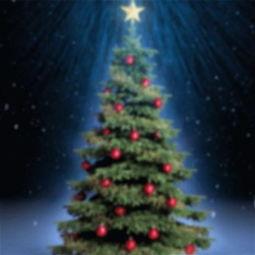 圣诞节吃瓜,揭秘圣诞吃瓜背后的故事