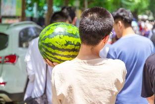 学院跳舞吃瓜,学院狂欢之夜